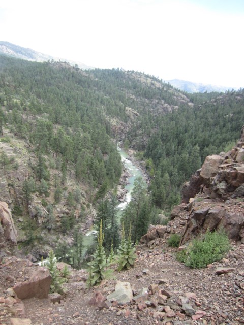 IMG_4358.JPG